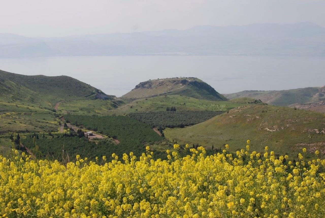 Lakeside Terrace Neot Golan Exterior foto